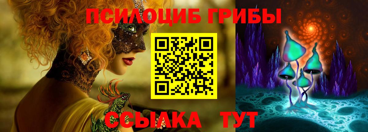 Псилоцибиновые грибы мицелий Вольск